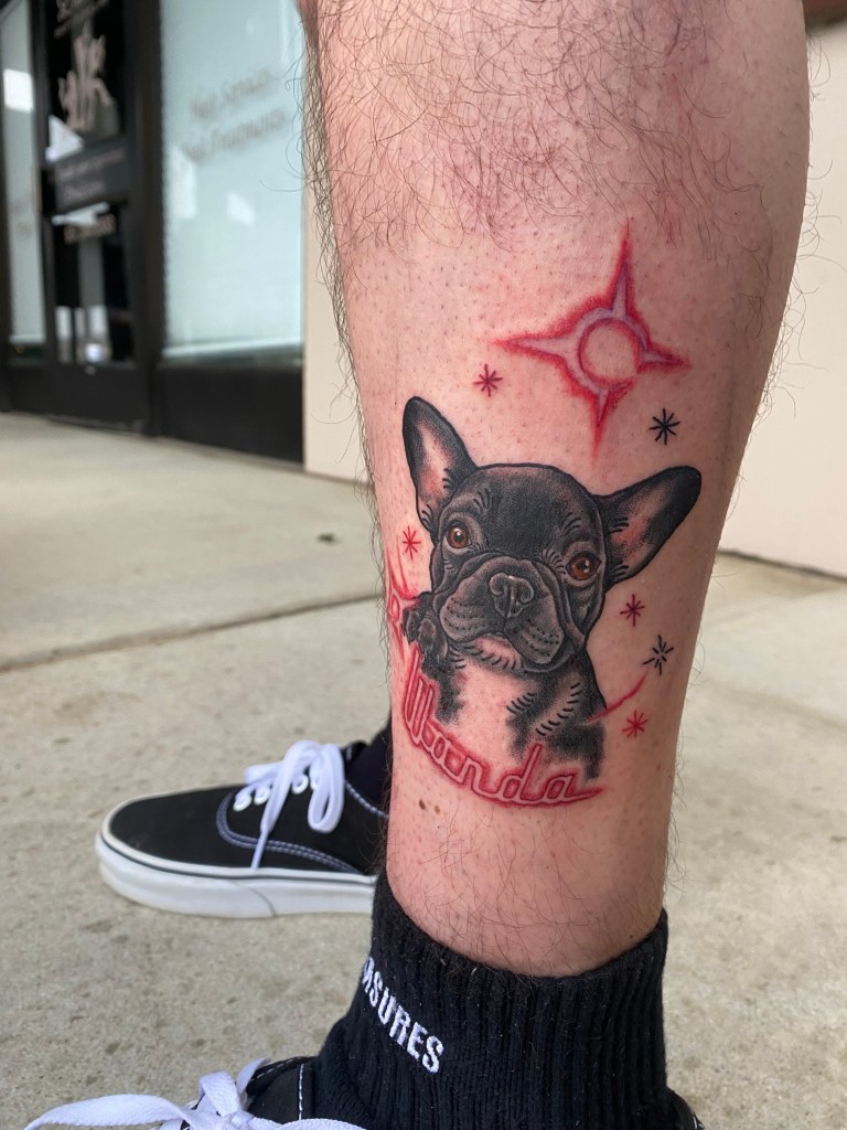 Decorative image to show artists tattoo work. Photograph of a freshly done tattoo on an outer left calf. The subject is the portrait of a fench bulldog who's name is wanda which is featured under the dog 